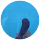 Reviewer